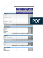 Blank Finance Budgets and Net Worth