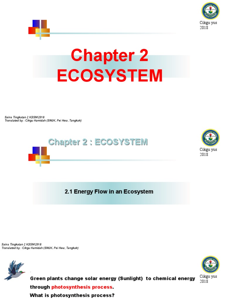 Nota Sains f2 | PDF | Ecosystem | Food Web