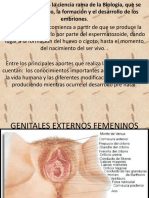 1 Genitales Externos Femeninos y Ciclo Ovarico