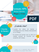 Formato APA Sexta Edición Plagio y Citas