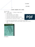 FISIOLOGIA-Funcion Receptora de la Vision- Dr Fernandez- 15.07.02