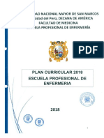 PLAN CURRICULAR - ENFERMERIA.pdf