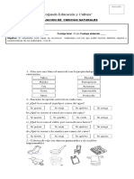 Prueba Los Materiales