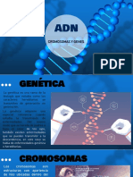 Cromosomas Y Genes: Lic. Roberto Martínez