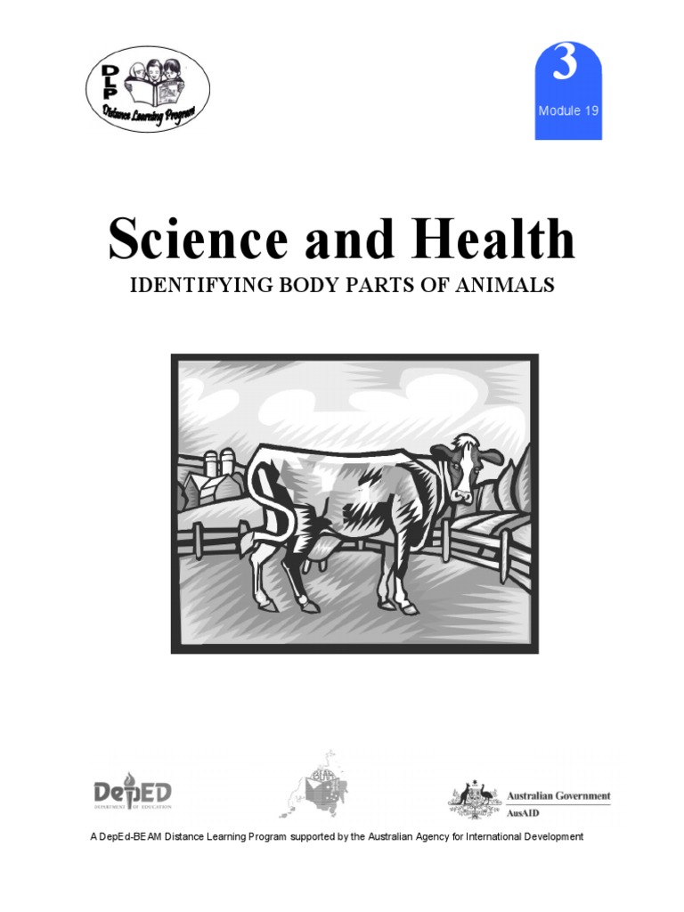 Science 3 DLP 19 - Identifying Body Parts of Animals | PDF | Fin ...
