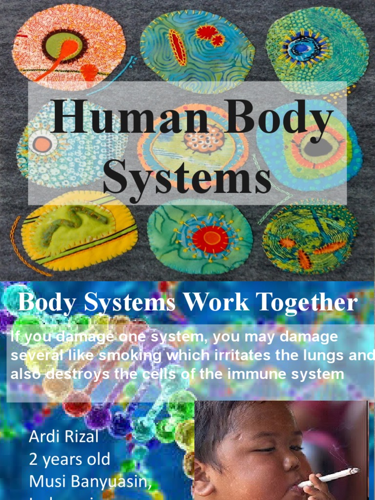 11 (number) intelligence overview