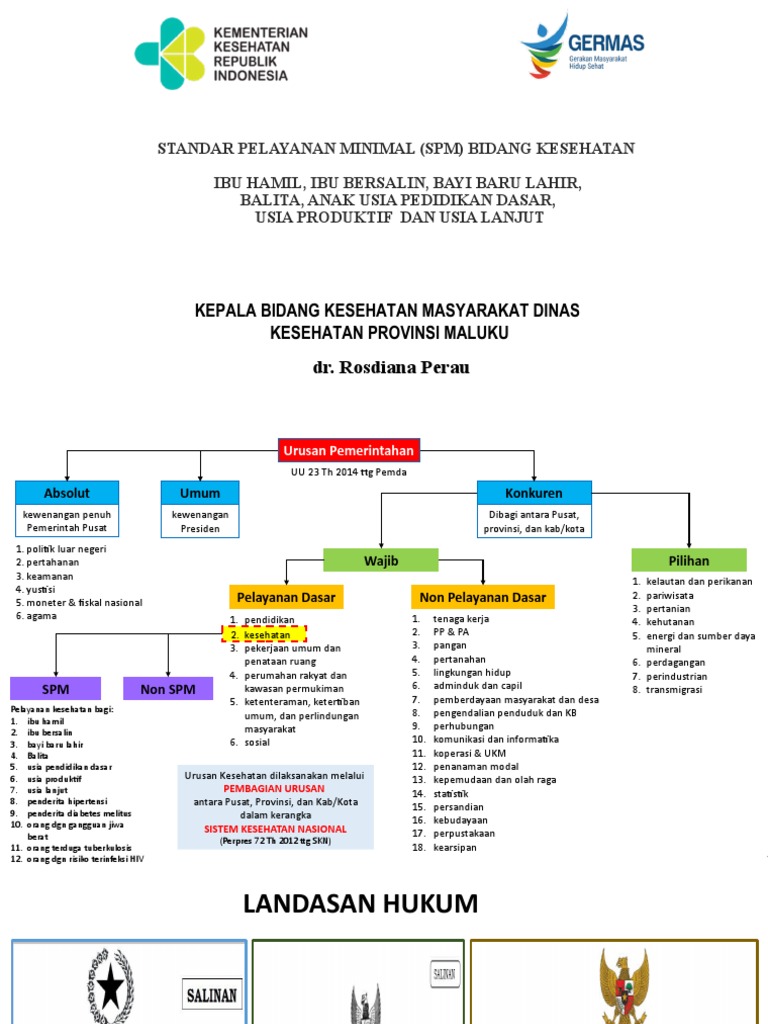 Standar Pelayanan Minimal Kesehatan | PDF