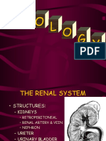 Urologyppt 1217856119824899 8