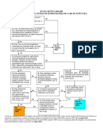 Schema Incadrare SEA