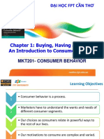 Chapter 1-Buying, Having and Being