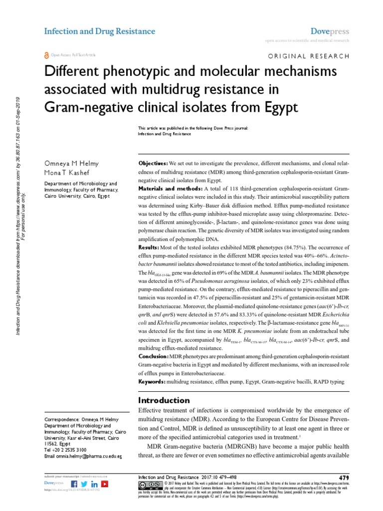 Different Phenotypic and Molecular Mechanisms Associated With Multidrug ...