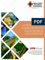 Lineas Estrategicas PDF