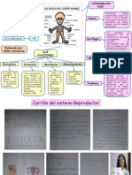 Mapa Conceptual