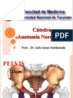 Miembro Inferior Dr. Avellaneda 2014