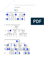 Pedigrees Lesson PDF