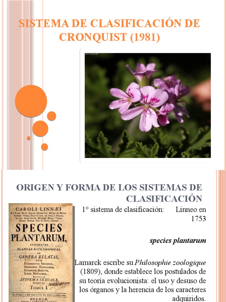 Cronquist | PDF