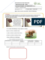 Sesión A Distancia de Comunicación 6 - 2