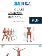 2. Anatomia_1_CCII_USCUR_2020.pptx