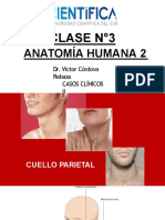 3. Anatomia_2_CCII_USCUR_2020.pptx