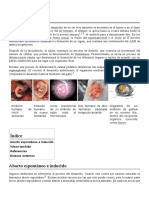 Embrión PDF