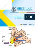 VIGILANCIA RABIA. Presentacion Epidemiologia