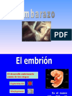 Embarazo y Desarrollo Embrionario