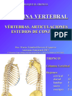 2 Tema Columna Vertebral 10-X.ppt