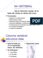 columna vertebral.ppt