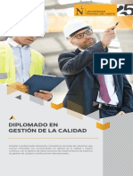 Dip Gestion de La Calidad 2020 PDF