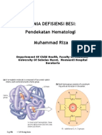 Anemia Defisiensi Besi: Pendekatan Hematologi Muhammad Riza