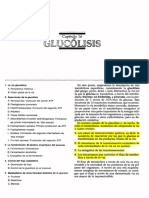 Copia de CAPITULO 16 Glucólisis.pdf