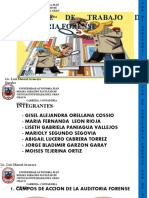 Alcance de Trabajo de La Auditoria Forense