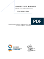 Lineamientos para El Proceso de Programacion y Presupuestacion para Resultados Del Ejercicio Fiscal 2019 24092018