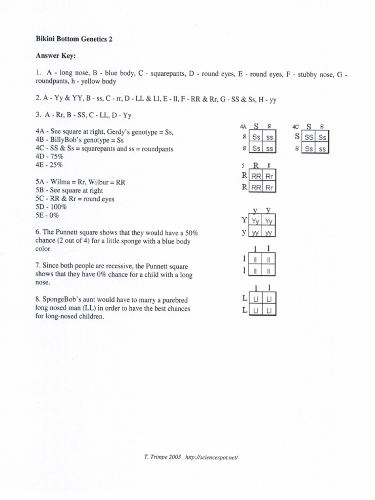 Genetics Key | PDF