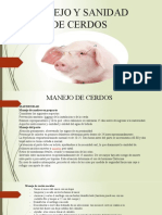 Enfermedades Viricas Del Cerdos de Yanet, Roxana, Artsano-1