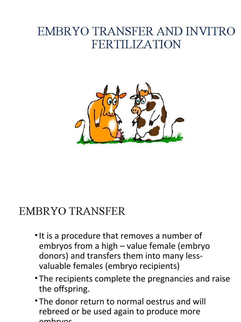 Embryo Transfer Invitro Fertilisation Pdf Cattle Ovary