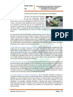 Resumen La Agroindustria en El Peru y El Desarrollo Sostenible PDF