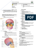 Chapter 7 Gross Anatomy of The Skeletal System