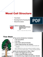 (Lec) 2 Wood Cell Structure (Latest)