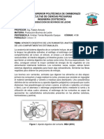Moposita - Cristian - Anatomía Del Aparato Digestivo Del Rumiante