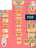 Clasificacion de Variables en Estadistica