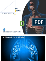 SESIÓN 3 - SISTEMA RESPIRATORIO y CARDIOVASCULAR.