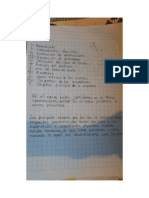 Reporte de Las Concepciones de Todo El Equipo Sobre Las Teorías Implícitas