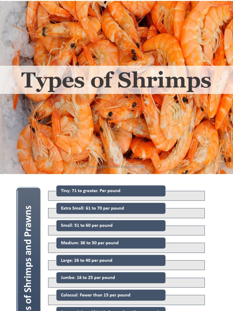 Varieties and Types of Shrimps | PDF | Shrimp | Seafood