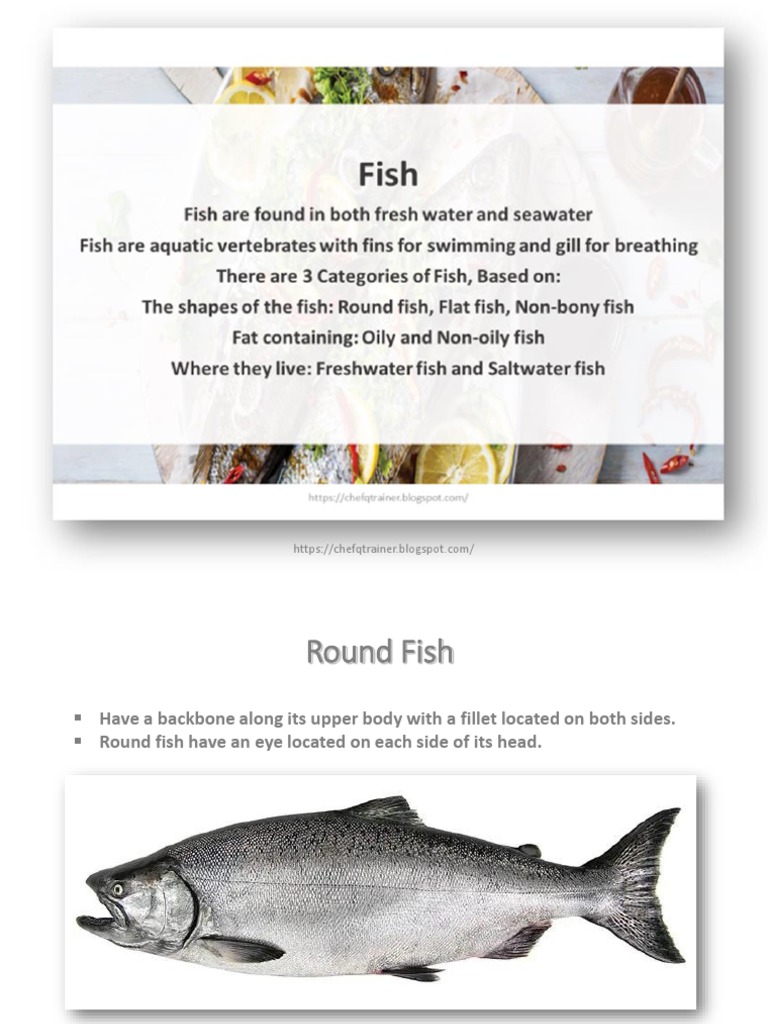 Types of Fish: Flat vs Round | PDF