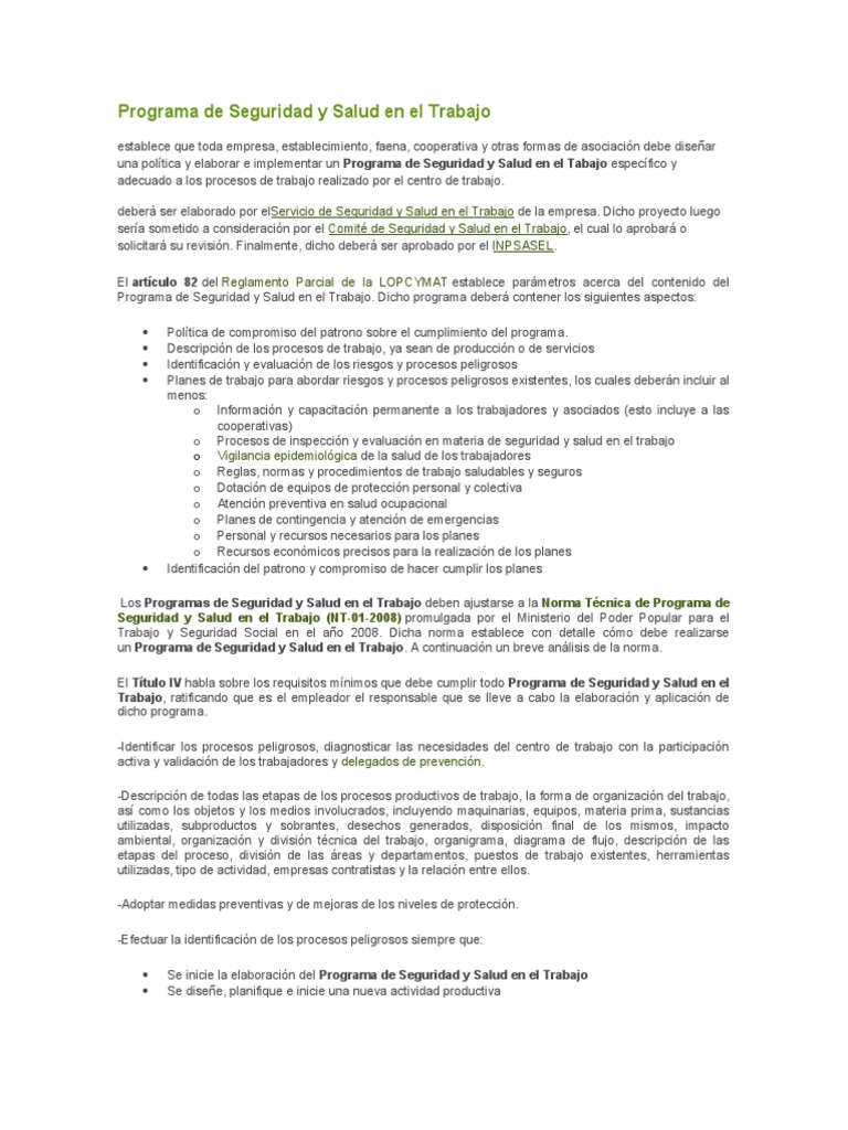 Programa de Seguridad y Salud Laboral | PDF | Seguridad y salud ...
