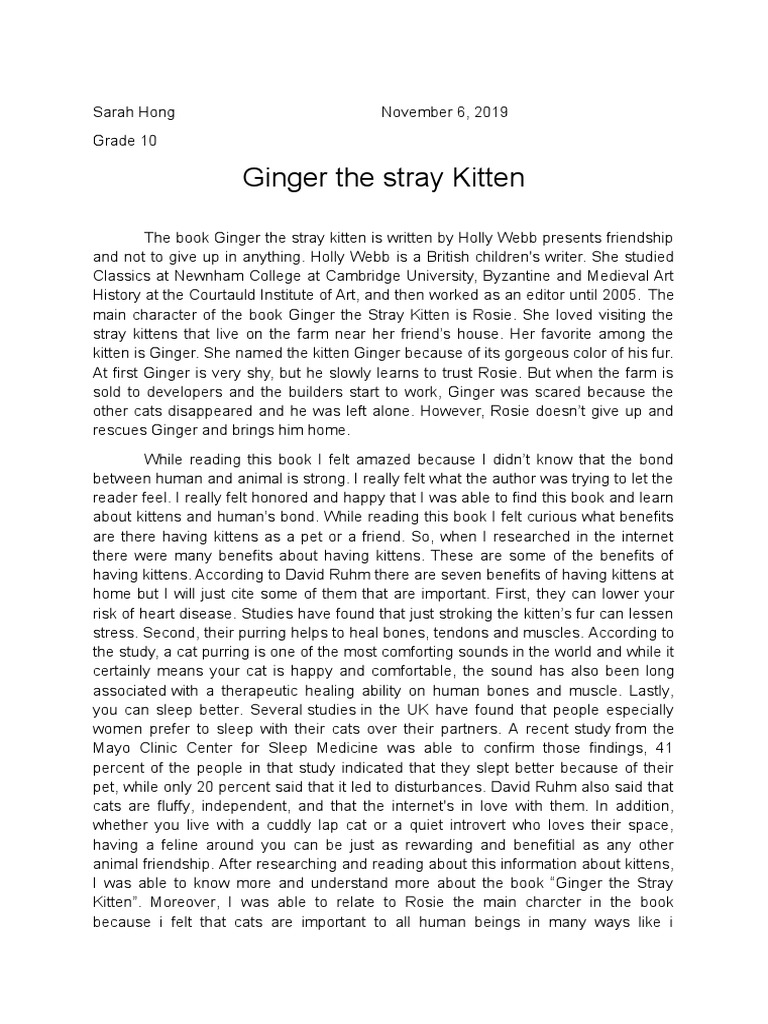 Ginger The Stray Kitten PDF Cats Wellness