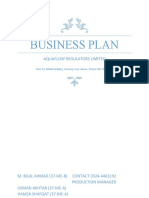 Business Plan: Aquaflow Regulators Limited