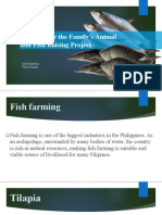 FISH Planning For The Family's Animal and Fish Raising Project 3