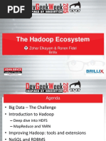 Hadoop Ecosystem Large PDF